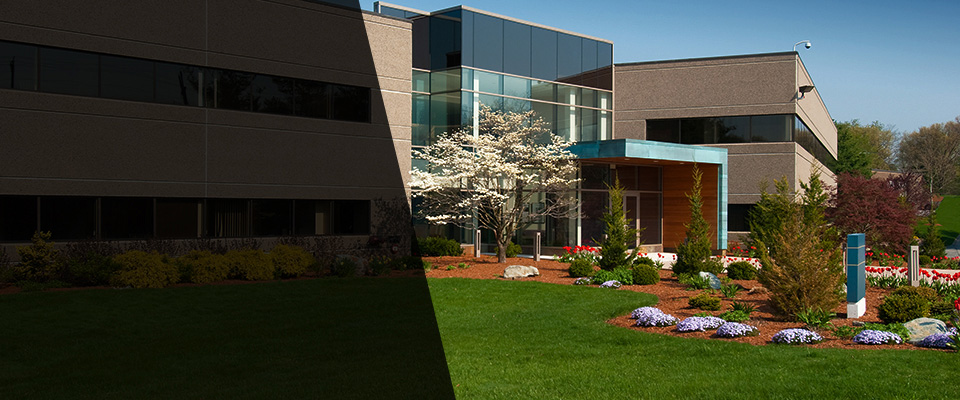 Galesville Landscapers